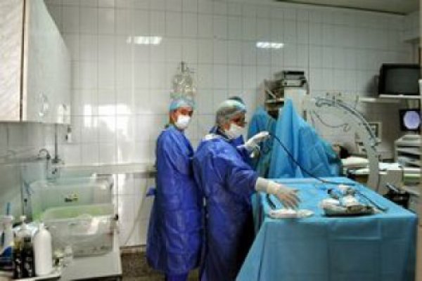 Astărăstoae: România a cheltuit 3,5 miliarde de euro pentru pregătirea medicilor care lucrează în UE